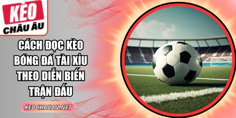 Cách Đọc Kèo Bóng Đá Tài Xỉu