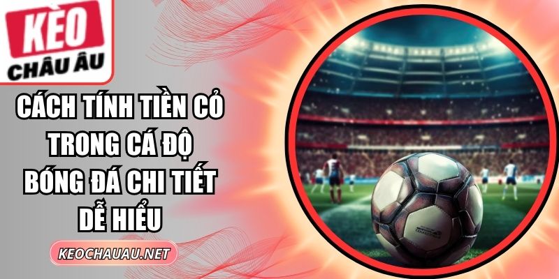 Cách Tính Tiền Cỏ Trong Cá Độ Bóng Đá