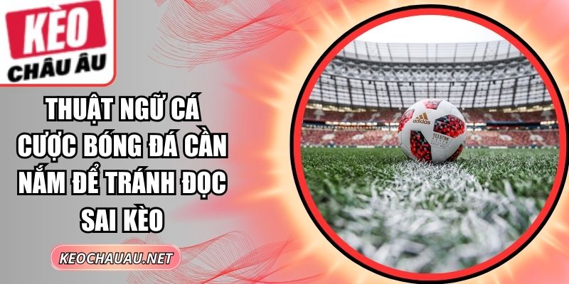 Thuật Ngữ Cá Cược Bóng Đá
