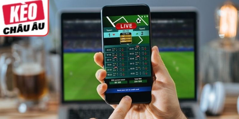 Vì sao cần nắm vững thuật ngữ cá cược bóng đá