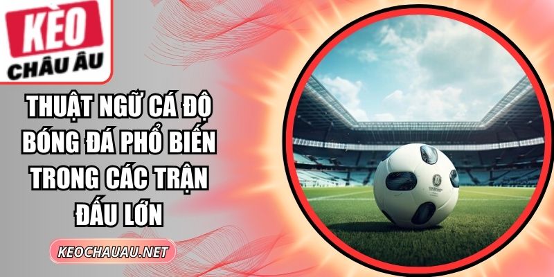 Thuật Ngữ Cá Độ Bóng Đá